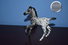 Load image into Gallery viewer, Custom Leopard Appaloosa-Warmblood Foal Mold-Breyer Classic