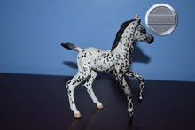 Load image into Gallery viewer, Custom Leopard Appaloosa-Warmblood Foal Mold-Breyer Classic