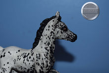 Load image into Gallery viewer, Custom Leopard Appaloosa-Warmblood Foal Mold-Breyer Classic