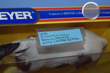 Load image into Gallery viewer, Savanna Dial-Indian Pony Mold-Breyer Traditional