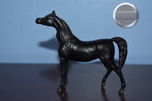Load image into Gallery viewer, Black Arabian from Collection Set-Mini Show Stance Arabian Mold-Breyer Stablemate
