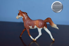 Load image into Gallery viewer, Roan Sabino from Collection Set-Prince Charming Mold-Breyer Stablemate
