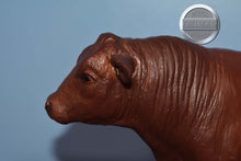 Load image into Gallery viewer, Red Angus-Incredibly Hard to Find-Angus Mold-Breyer Traditional