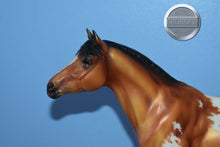Load image into Gallery viewer, Thorn-Matte-Breyerfest Exclusive-Trakenher Mold-Breyer Traditional