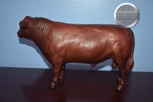 Load image into Gallery viewer, Red Angus-Incredibly Hard to Find-Angus Mold-Breyer Traditional