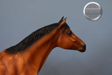 Load image into Gallery viewer, Thorn-Matte-Breyerfest Exclusive-Trakenher Mold-Breyer Traditional