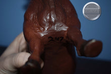 Load image into Gallery viewer, Red Angus-Incredibly Hard to Find-Angus Mold-Breyer Traditional