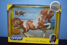 Load image into Gallery viewer, Beachcomber-Connemara Mare Mold-Breyer Traditional