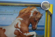 Load image into Gallery viewer, Beachcomber-Connemara Mare Mold-Breyer Traditional