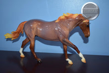 Load image into Gallery viewer, Glossy Roan Seven Arts Surprise-Breyerfest Exclusive-Australian Stock Horse Mold-Breyer Traditional