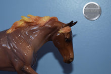 Load image into Gallery viewer, Glossy Roan Seven Arts Surprise-Breyerfest Exclusive-Australian Stock Horse Mold-Breyer Traditional