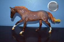 Load image into Gallery viewer, Glossy Roan Seven Arts Surprise-Breyerfest Exclusive-Australian Stock Horse Mold-Breyer Traditional