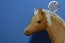 Load image into Gallery viewer, Phantom Wings (Misty's)-Phantom Wings Mold-Breyer Traditional