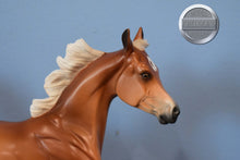 Load image into Gallery viewer, Peter Pan-Matte-Arabian Yearling-Stone