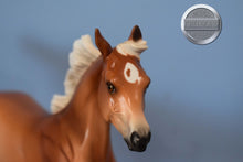 Load image into Gallery viewer, Peter Pan-Matte-Arabian Yearling-Stone