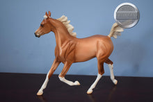 Load image into Gallery viewer, Peter Pan-Matte-Arabian Yearling-Stone