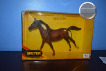 Load image into Gallery viewer, Liver Chestnut Paint-Phar Lap Mold-Breyer Traditional