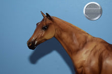 Load image into Gallery viewer, Let's Go Riding Chestnut-Touch of Class Mold-Breyer Traditional
