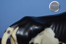 Load image into Gallery viewer, Maverick-1998 SR-Texas Longhorn Mold-Breyer Traditional