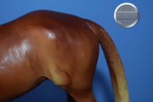 Load image into Gallery viewer, Let's Go Riding Chestnut-Touch of Class Mold-Breyer Traditional