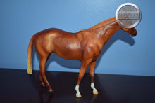 Load image into Gallery viewer, Let's Go Riding Chestnut-Touch of Class Mold-Breyer Traditional