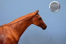 Load image into Gallery viewer, Let's Go Riding Chestnut-Touch of Class Mold-Breyer Traditional