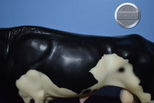 Load image into Gallery viewer, Maverick-1998 SR-Texas Longhorn Mold-Breyer Traditional