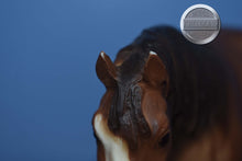 Load image into Gallery viewer, Sorrel Shire Mare-Ear Rubs-Shire Mare Mold-Breyer Traditional