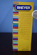 Load image into Gallery viewer, Rain-New in Box-Original on the Rain Mold-Breyer Traditional