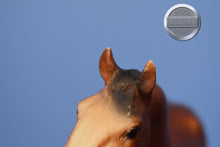Load image into Gallery viewer, Vintage Clydesdale Mare #2-Original on the Mold-Breyer Traditional