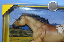 Load image into Gallery viewer, Hakan-Smarty Jones Mold-Breyer Traditional