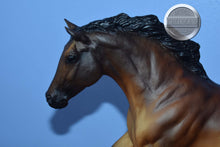 Load image into Gallery viewer, Talisman/Fairbanks-Black Beauty Mold-Breyer Traditional