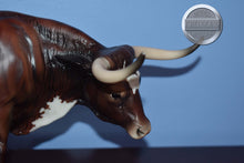 Load image into Gallery viewer, Alamo-Breyerfest Exclusive-LE 750-Texas Longhorn Mold-Breyer Traditional