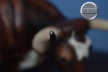 Load image into Gallery viewer, Alamo-Breyerfest Exclusive-LE 750-Texas Longhorn Mold-Breyer Traditional