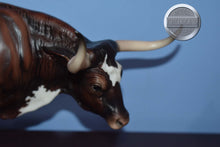 Load image into Gallery viewer, Alamo #2-Breyerfest Exclusive-LE 750-Texas Longhorn Mold-Breyer Traditional