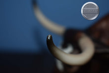 Load image into Gallery viewer, Alamo #2-Breyerfest Exclusive-LE 750-Texas Longhorn Mold-Breyer Traditional