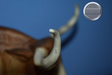 Load image into Gallery viewer, Light Brown-Early Longhorn-Texas Longhorn Mold-Breyer Traditional