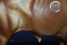 Load image into Gallery viewer, Light Brown-Early Longhorn-Texas Longhorn Mold-Breyer Traditional