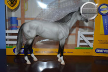 Load image into Gallery viewer, Grey Ariat Exclusive-Best of Show Quarter Horse Mold-Breyer Classic
