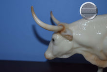 Load image into Gallery viewer, Olaf-Web Special-Texas Longhorn Mold-Breyer Traditional