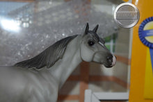 Load image into Gallery viewer, Grey Ariat Exclusive-Best of Show Quarter Horse Mold-Breyer Classic