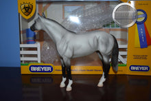 Load image into Gallery viewer, Grey Ariat Exclusive-Best of Show Quarter Horse Mold-Breyer Classic