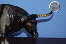 Load image into Gallery viewer, Mesquite-Breyerfest Exclusive-Texas Longhorn Mold-Breyer Traditional