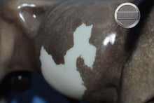 Load image into Gallery viewer, Mesquite-Breyerfest Exclusive-Texas Longhorn Mold-Breyer Traditional