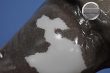 Load image into Gallery viewer, Mesquite-Breyerfest Exclusive-Texas Longhorn Mold-Breyer Traditional