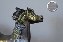Load image into Gallery viewer, Northern Lights-Durango Mold-Breyer Traditional