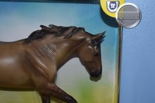Load image into Gallery viewer, Merle-Australian Stock Horse Mold-Breyer Traditional