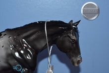 Load image into Gallery viewer, Andromeda-Glossy-Remington Mold-Peter Stone