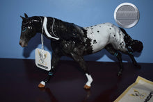 Load image into Gallery viewer, Andromeda-Glossy-Remington Mold-Peter Stone