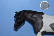 Load image into Gallery viewer, Shasta Moon-Indian Pony Mold-Breyer Traditional